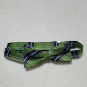 Hermoso Green and Blue Plaid Kids Bow Tie